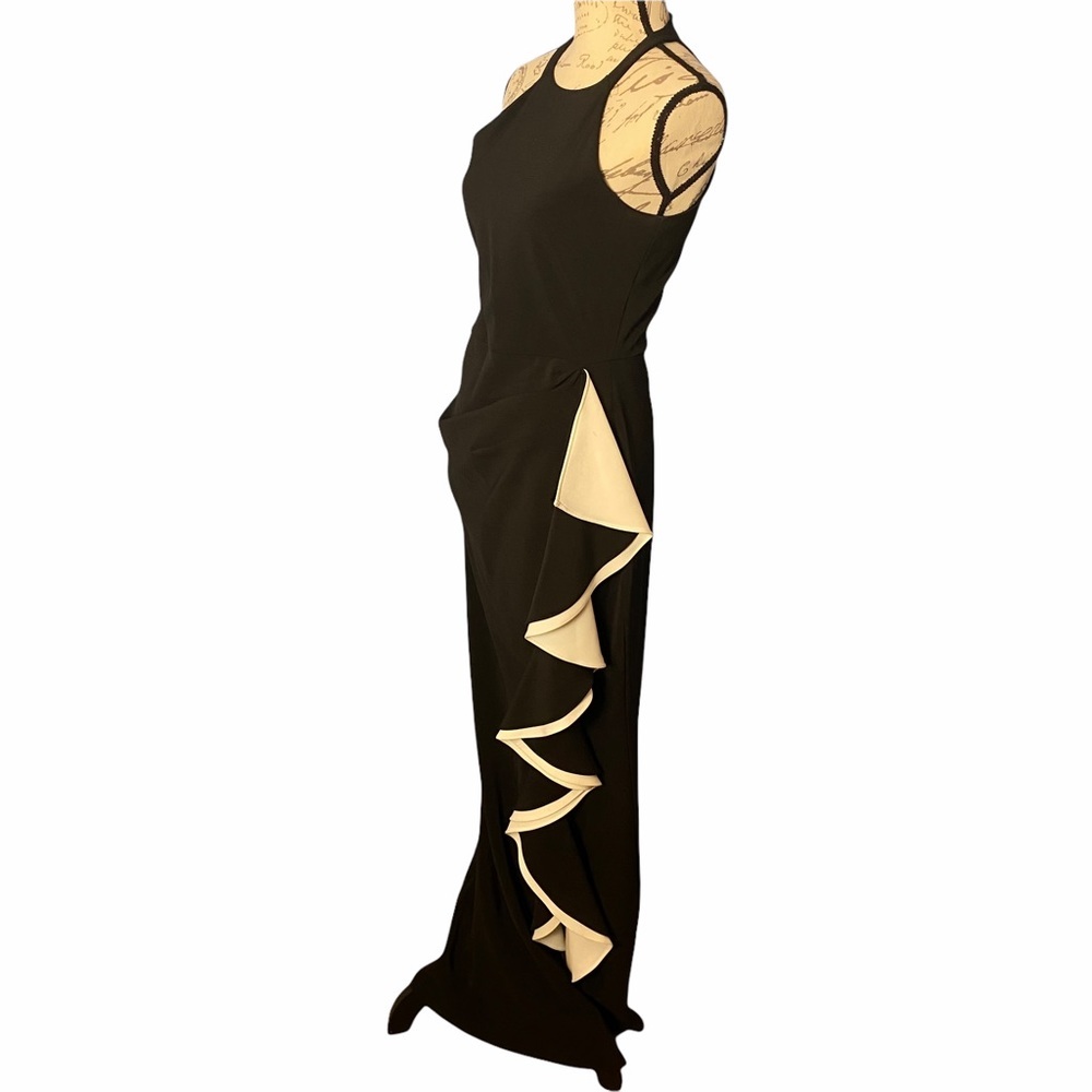 Parker Black Dress - Picture 4 of 7